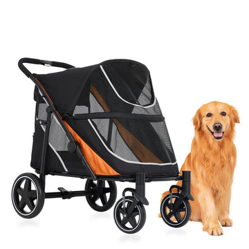 Dog Travel & Outdoor