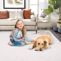 Garvee Cream White Area Rug 3x5 Solid Entryway Mat Washable Rug Indoor Low Pile Area Rug Casual Contemporary Solid Easy-Cleaning Bedroom Kitchen Living Room Rug Non-Slip Foldable Accent Rug
