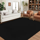 Garvee 5x7 Washable Area Rug Modern Solid Textured Rugs Foldable Black Non-Slip Thin Rug Stain Resistant Indoor Accent Rug Carpet Low Pile Mat for Bedroom Living Room - Black