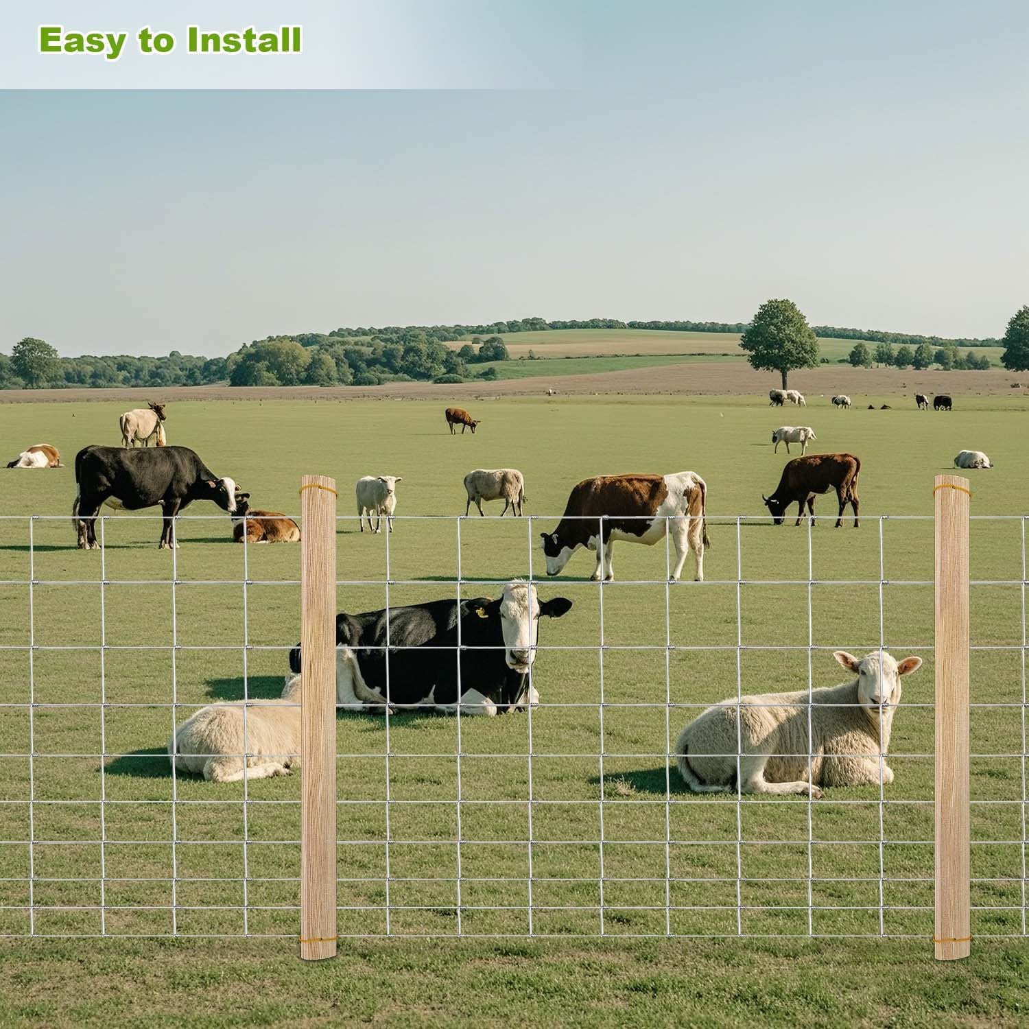 PPG_33EQFCTJ