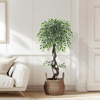 PHK_359PLX6F