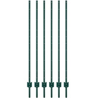 PPG_336A9TFW