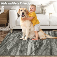 Garvee 6x9 Abstract Area Rug Machine Washable Rug Modern Area Rug Stain Resistant Non-Slip Accent Rug Floor Cover Carpet Rug for Living Room Decor,Grey