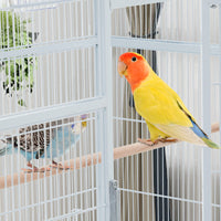 PHO_34BN5EBG