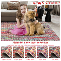 Garvee Modern Multicolor 6x9 Area Rug Braided Print Throw Rug with Non-Slip Backing, Washable Contemporary Accent Carpet, Foldable Low Pile Floor Cover for Living Room, Bedroom