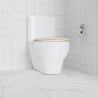 Garvee Toilet Seat Round,Toilet Seat with Quick-Release And Quick-Attach, Plastic Toilet Seat with Soft Close,Easy Install and Clean - Fits Most Round Toilets Almond