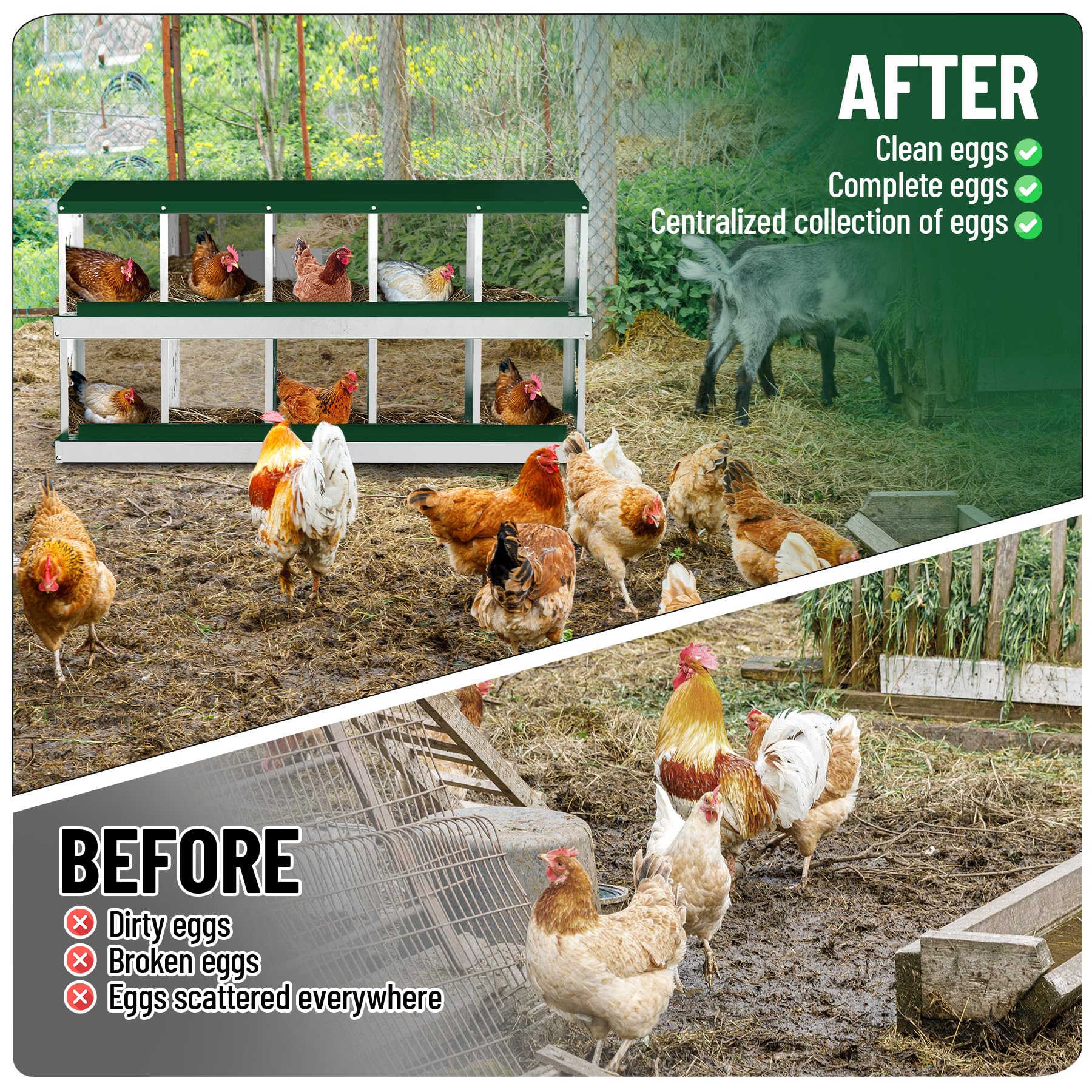 Garvee 10 Compartments Metal Chicken Nesting Boxes, Nesting Boxes, Chicken Laying Box with Roll Out Egg Collection with Vented Holes