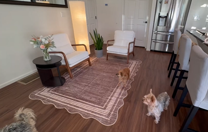 Garvee Modern Scalloped Edge Area Rug – Soft Low-Pile Washable Non-Slip Stain Resistant Carpet for Living Room, Bedroom, or Nursery, Cream White, 8x10