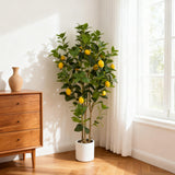 Garvee Realistic 4FT Artificial Lemon Trees, 2-Pack Silk Citrus Plants with Lifelike Yellow Lemons, UV-Resistant, White Pot, Indoor Home Decor, Office, Kitchen, Party, Wedding, Easy Maintenance – Color: White Pot-Fine Stone