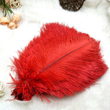 Garvee 100pcs Ostrich Feathers - Natural 15-20cm Bulk Plumes for Vase, Home Decor, DIY Crafts, Weddings, Parties, Floral Arrangements - Red