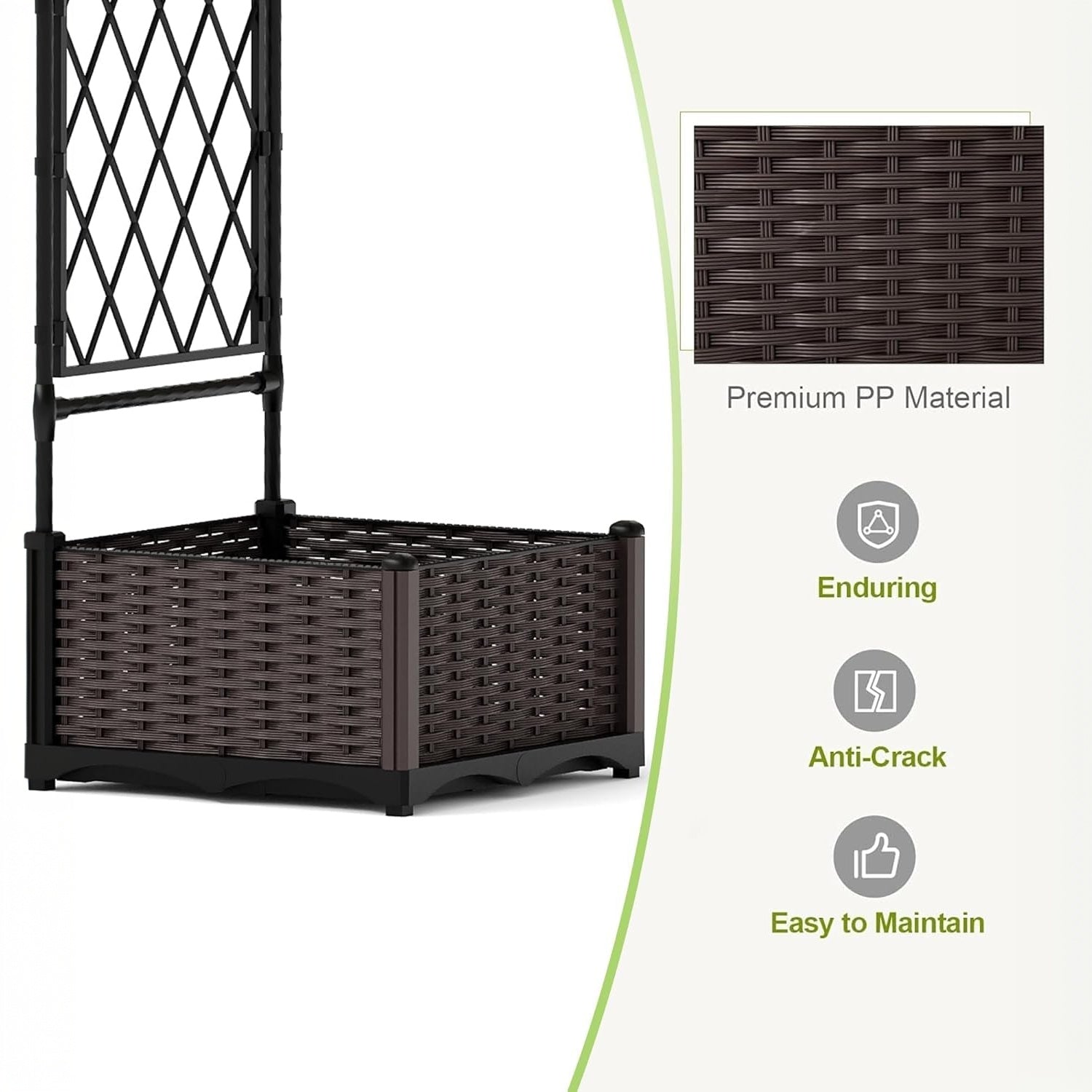 PPG_33MY9LQX