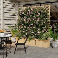 PPG_33D643KG