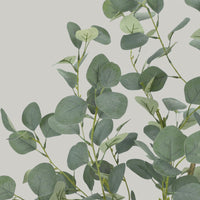 PHO_15CG9AB3