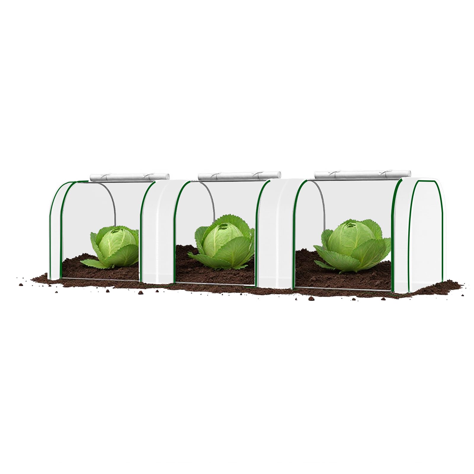 PPG_33PRAVPP
