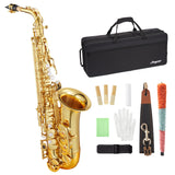 Garvee Eb Alto Saxophone Black Gold Keys Gold Lacquer Beginner Kit 11 Reeds Case Mouthpiece Gloves School Band