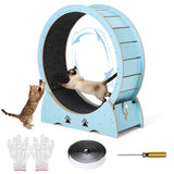 Garvee Low Noise Cat Exercise Wheel – Indoor Wooden Running Treadmill with Removable Carpeted Catwalk, Promotes Healthy Activity & Entertainment, Plume Teaser Toy Included – Mint Green - Mint Green