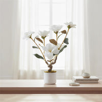 PHK_36EKW5X8