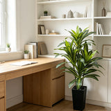Garvee Large Artificial Dracaena Tree for Living Room – Multi-Stem 6-Head Faux Plant – Realistic Greenery, White Tall Pot – Low Maintenance, Indoor Floor Decor for Home or Office – Multi-stem 6-head Brazil iron height 180CM white tall pot