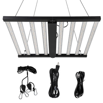 PPG_34548KRP