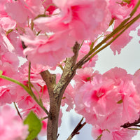 PHK_3658U3LK
